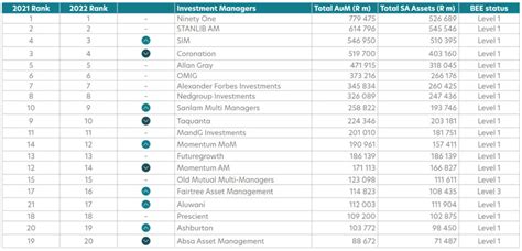 South Africas Top 20 Asset Managers Daily Investor