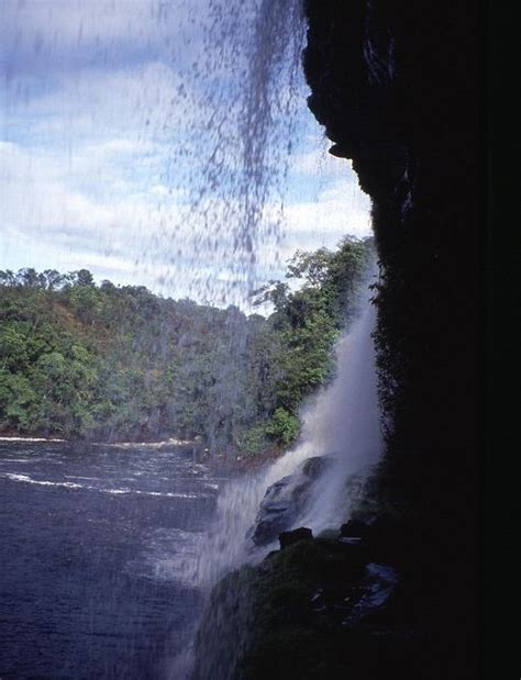 『世界遺産』エンジェルフォールズとカナイマ国立公園（ベネズエラ）写真館 Pictures Of Angel Falls And Canaima