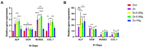 Expression Of Genes Related To Osteogenesis Gene Expression Results