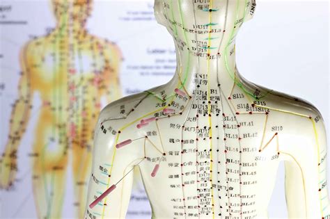 Атлас акупунктурных точек и меридианов в цветном изображении ...