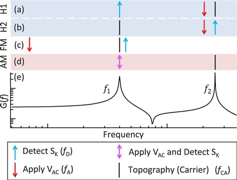 The Transfer Functions For The Different Kpfm Methods Are Measured By Download Scientific