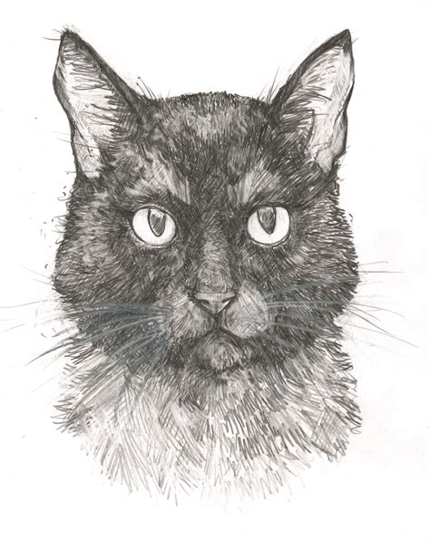 Original Art | Black Cat | 6x8 Original Pencil Drawing – Big Chris Art