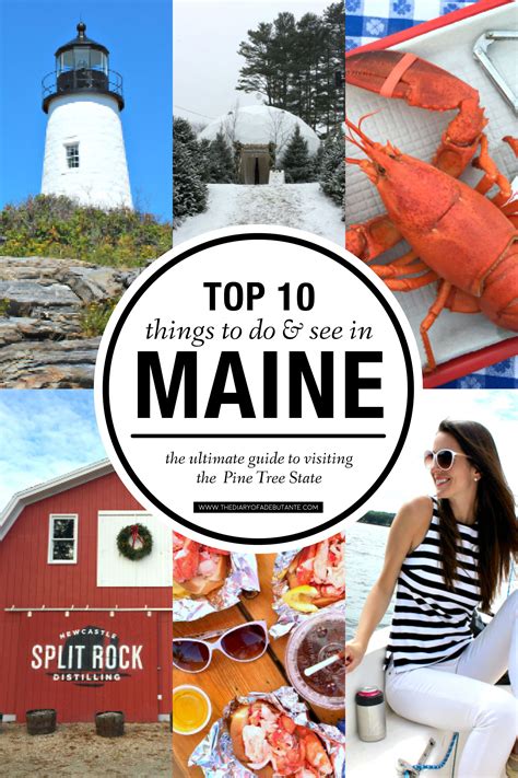 The Top 10 Things To Do And See In Maine Including Lobsters On Display