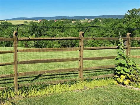 Frequently Asked Questions About Purrfect Fence CATFENCE