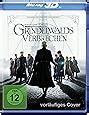 Phantastische Tierwesen Grindelwalds Verbrechen 3D Blu Ray 2D