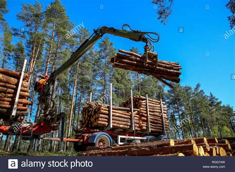 Crane In Forest Loading Logs In The Truck Timber Harvesting And