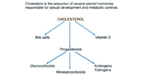 SOLUTION: Regulation of cholesterol synthesis - Studypool