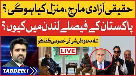 Imran Khan Long March Shah Mehmood Qureshi Exclusive Ameer Abbas