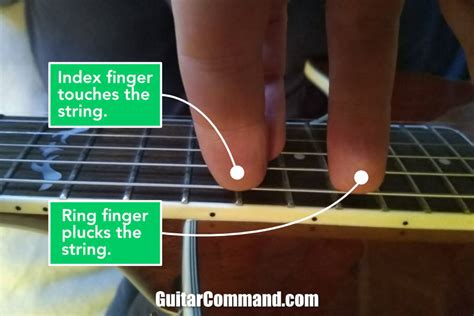 Guitar Harmonics: How To Play Natural, Artificial, Tap & Pinch Harmonics