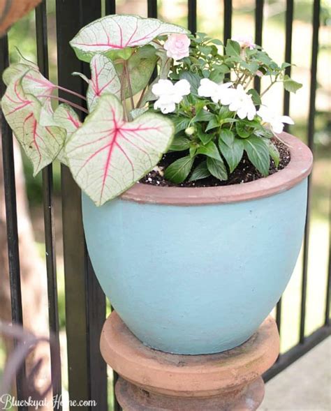 Painting Terra Cotta Pots and Planting Pretty Flowers - Bluesky at Home