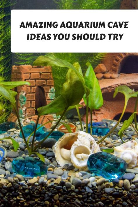 Transform Your Fish Tank with Stunning Aquarium Cave Ideas