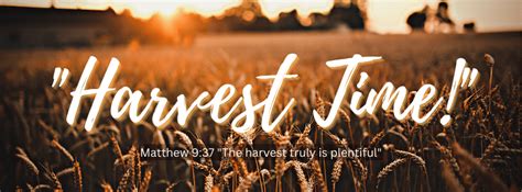 "Harvest Time!" - Martin Ministries International