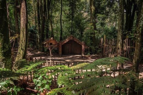 Māori Cultural Tours Te Pā Tū Tamaki Māori Village