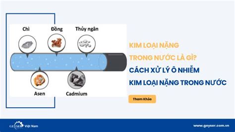 Kim Loại Nặng Trong Nước Là Gì Nhận Biết Tác Hại Và Cách Xử Lý