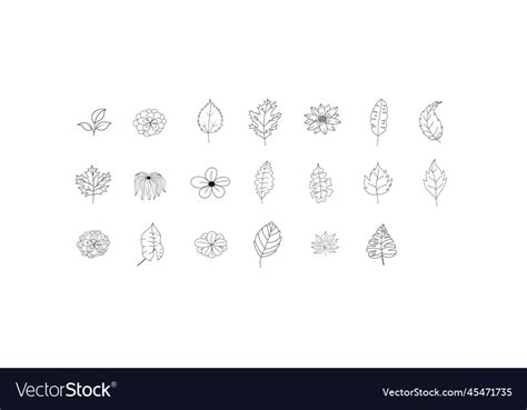 Floral leaves set Royalty Free Vector Image - VectorStock