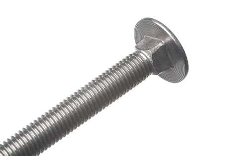 Carriage Bolts Stainless Steel M X Mm Quick Delivery