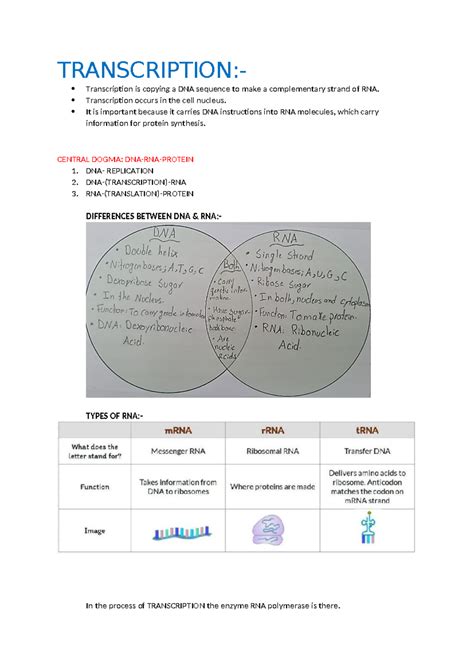 Biology Of Cancer Weinberg Question Bank 5