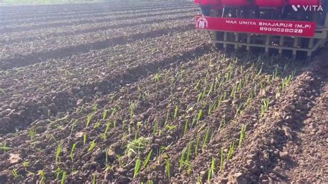 Onion Planter At Rs 150000 Piece Onion Transplanter In Shajapur ID