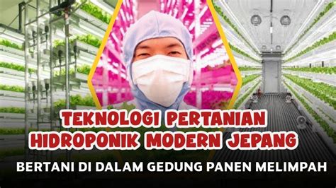 Pertanian Hidroponik Jepang Dengan T YouTube