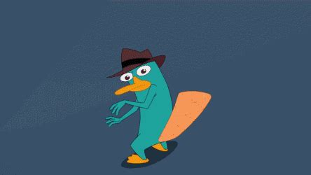 Images Perry GIF - Find & Share on GIPHY