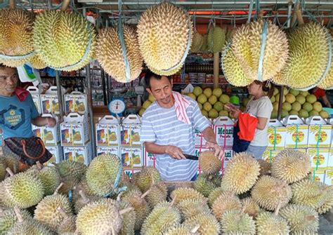 Durian at the park : r/mindanaonews