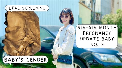 Second Trimester Update For Baby No Babys Gender Youtube