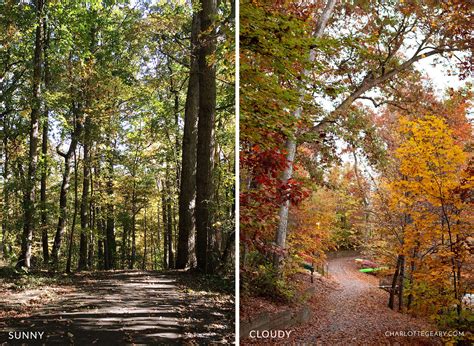 Photography tips: 5 ways to improve your fall foliage pictures ...