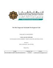 The Most Important Sdg Docx The Most Important Sustainable