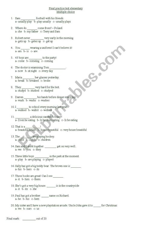 Elementary Test Esl Worksheet By Albertoac