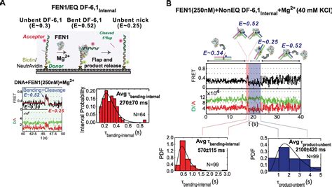 Implementing Fluorescence Enhancement Quenching And Fret For