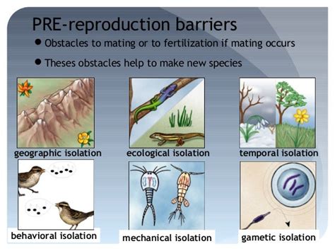 Implications of variation adaptation and natural selection