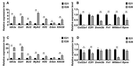 Ijms Free Full Text The Integration Of Genome Wide Dna Methylation