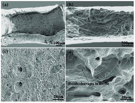 Ac Macroscopic And Microscopic Morphologies Of The Fracture Surface