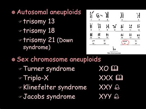 Chromosomes Chapter 11 Human X And Y Chromosomes Ppt Download