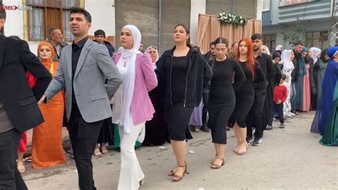 Rekolara Giden Kürtçe Halay Şevko 2024 Kurdish Wedding Oyun