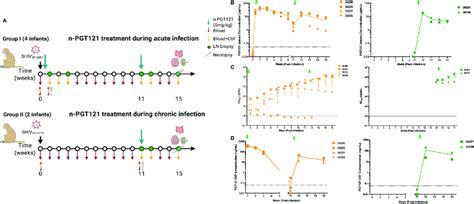 Nanocapsules Maintain Bnab Circulation And Improve Penetration In Cns