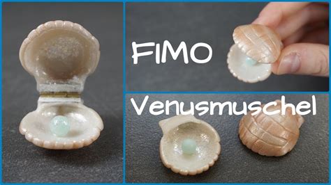 Venusmuschel Zum Aufklappen Fimo Tier ABC Tutorial YouTube