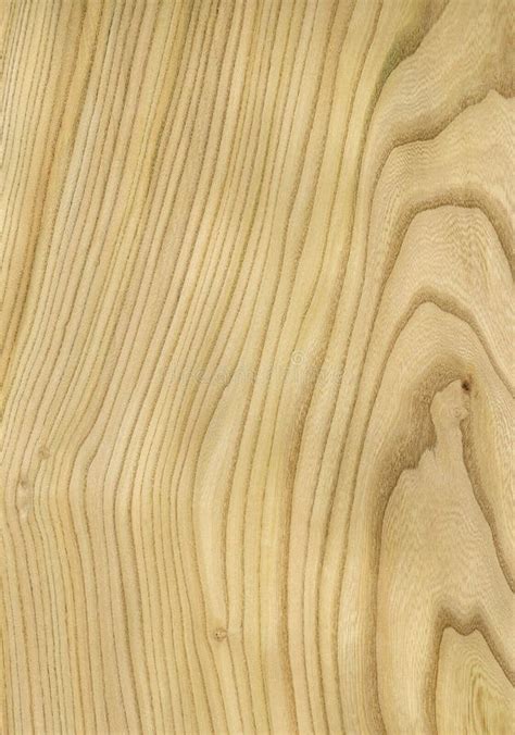 Elm Wood Texture Free Stock Photos Stockfreeimages