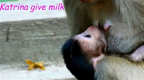 New Update Mom Katrina Breastfeeding First Milk To Cute Baby Youtube