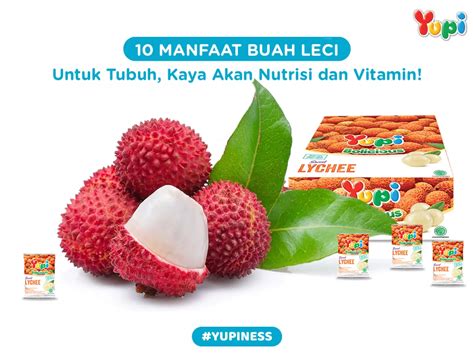 10 Manfaat Buah Leci Untuk Tubuh Kaya Akan Nutrisi Dan Vitamin Yupi