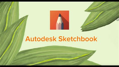 简单叶片做背景 如何轻松制作Autodesk Sketchbook教你自己画简单叶子和制作简单背景 YouTube