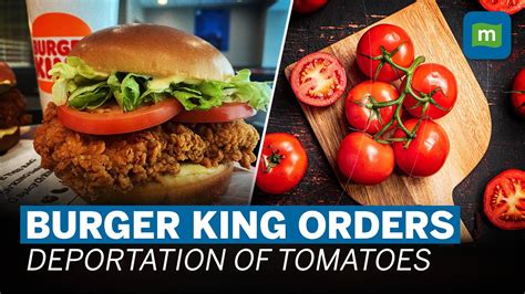 Burger King India Joins Mcdonalds In Tomato Removal Amidst Price Surge