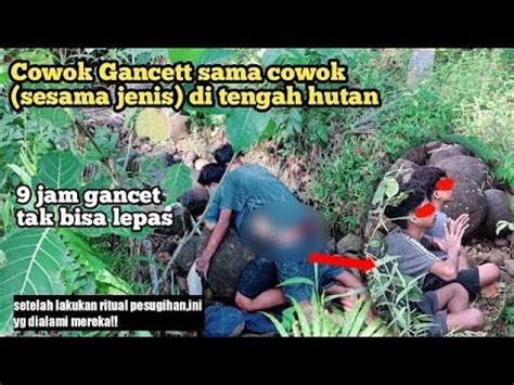 Gan C T Pria Sesama Jenis Ditengah Hutan Youtube