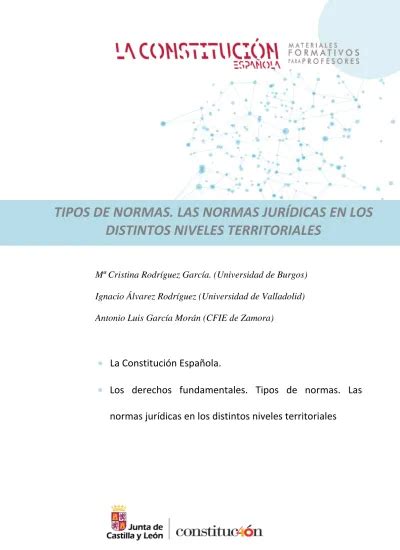 TIPOS DE NORMAS LAS NORMAS JURÍDICAS EN LOS DISTINTOS NIVELES