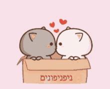 Cute Sex Gifs Tenor