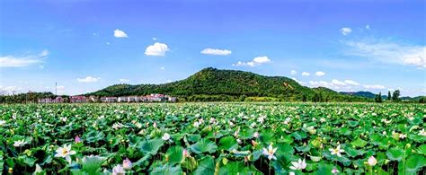 走进乡村看小康 南昌县黄马乡罗渡村：小康画卷展新颜 喜看村庄大变化