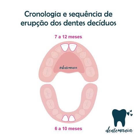 Cronologia E Sequ Ncia De Erup O Dos Dentes Dec Duos Photo And Video