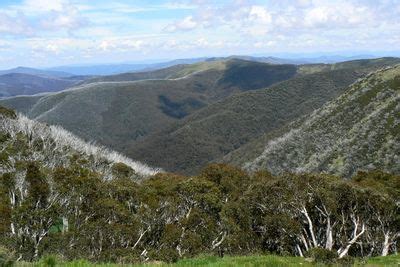 Cordillère Australienne tahiti95