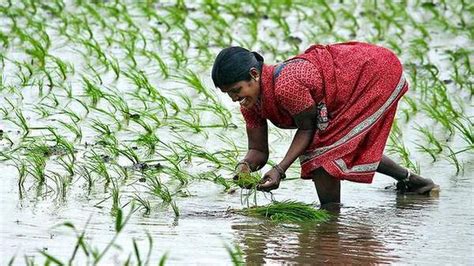 Karnataka Announces Farm Loan Waiver In One Go The Hindu