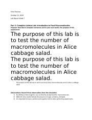 Exploring Food Macromolecules Lab Report And Observations Course Hero